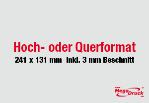 Flyer Maxi Format 235 x 125 mm, 1 oder 2 Seiten